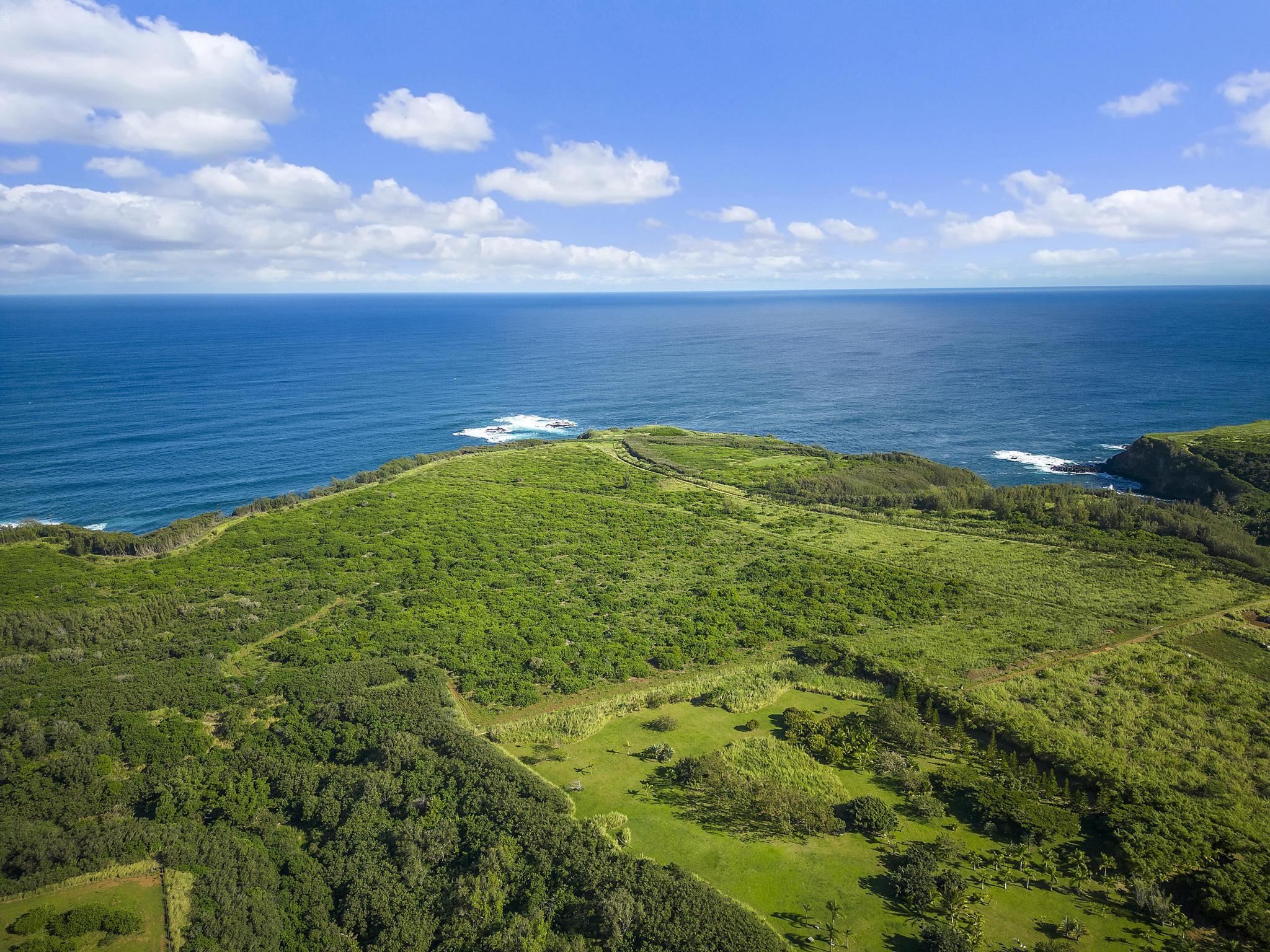 0 Pauwela Lighthouse Rd 50 Haiku, Hi vacant land for sale - photo 9 of 21