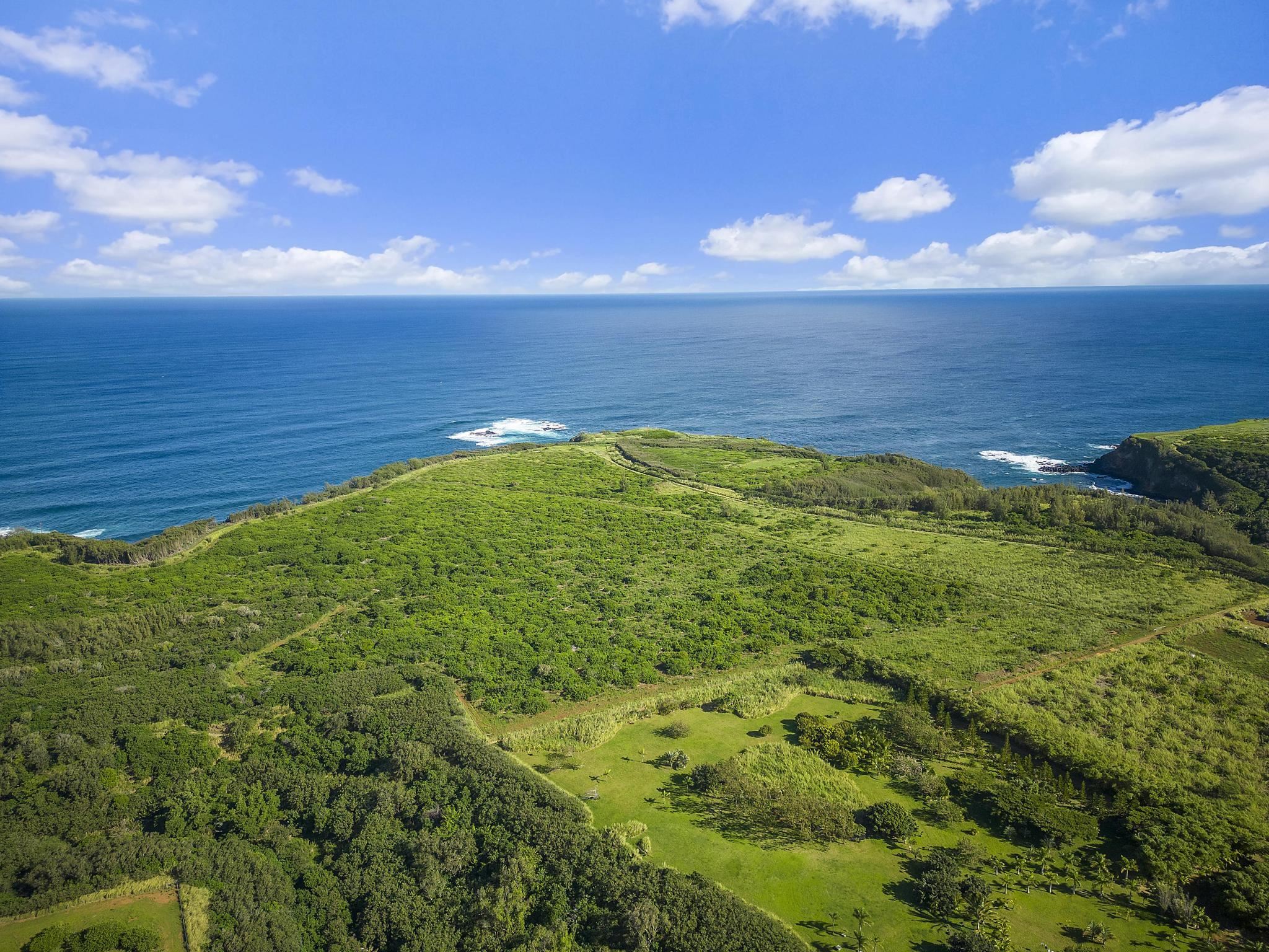 0 Pauwela Lighthouse Rd 50 Haiku, Hi vacant land for sale - photo 10 of 21