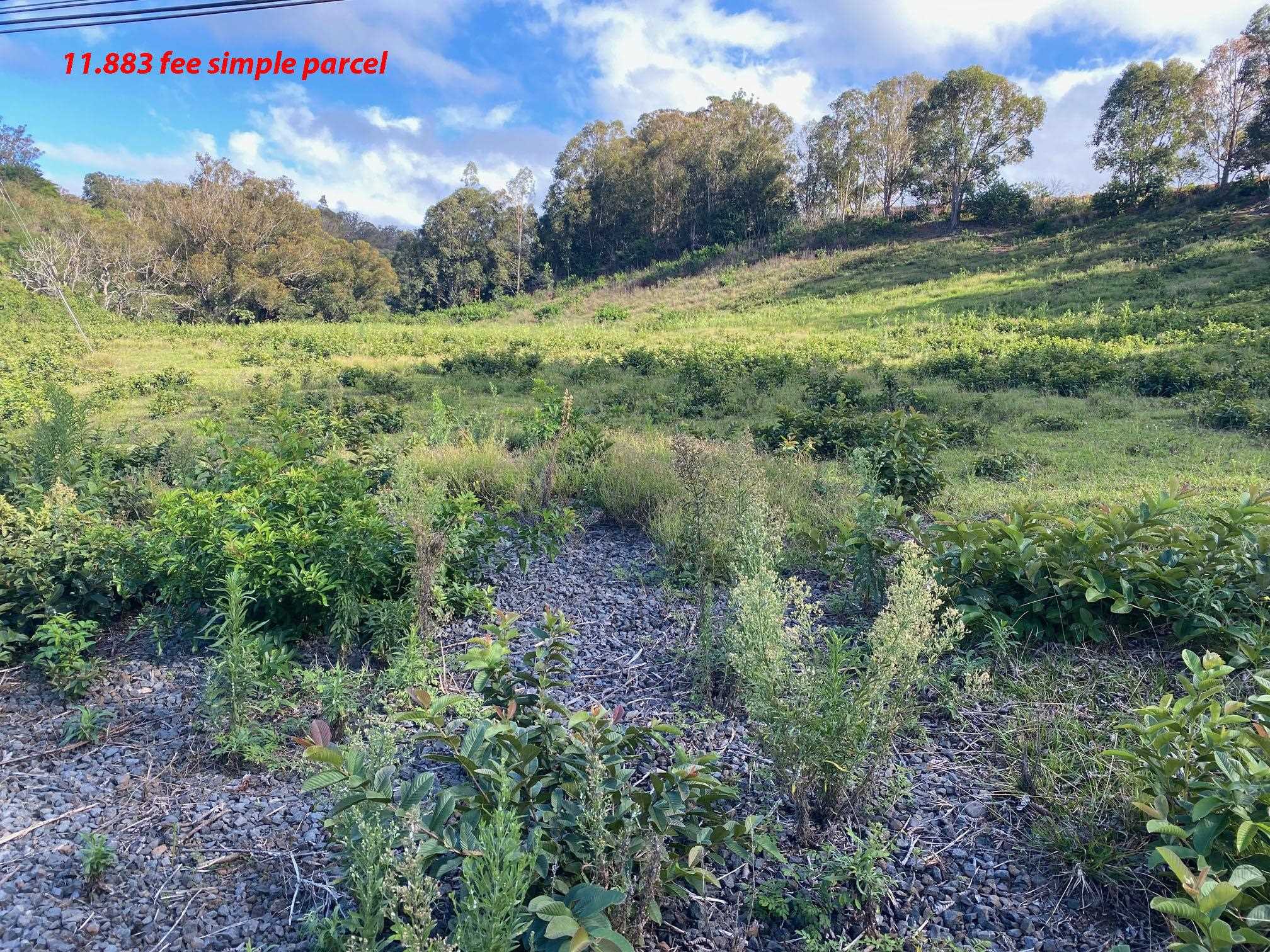 Piiholo Road  Makawao, Hi vacant land for sale - photo 3 of 3