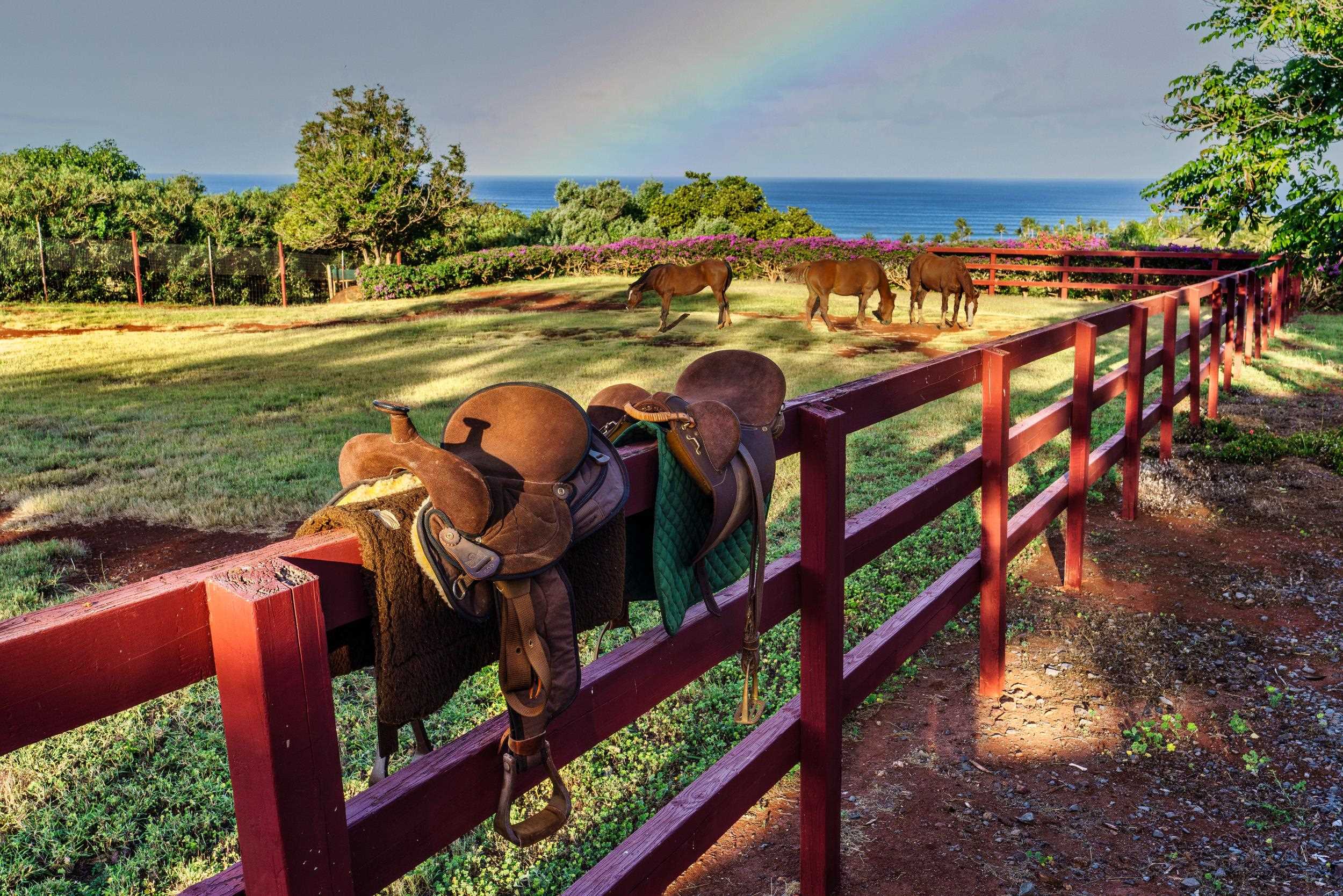 Pl Pl Kaluakoi - West Molokai, Molokai home - photo 16 of 23