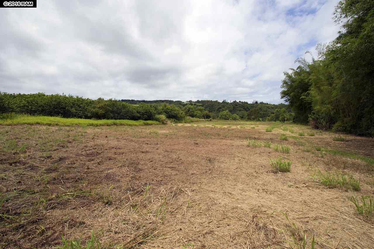 0 Pono Rd  Haiku-Pauwela, Hi vacant land for sale - photo 19 of 20