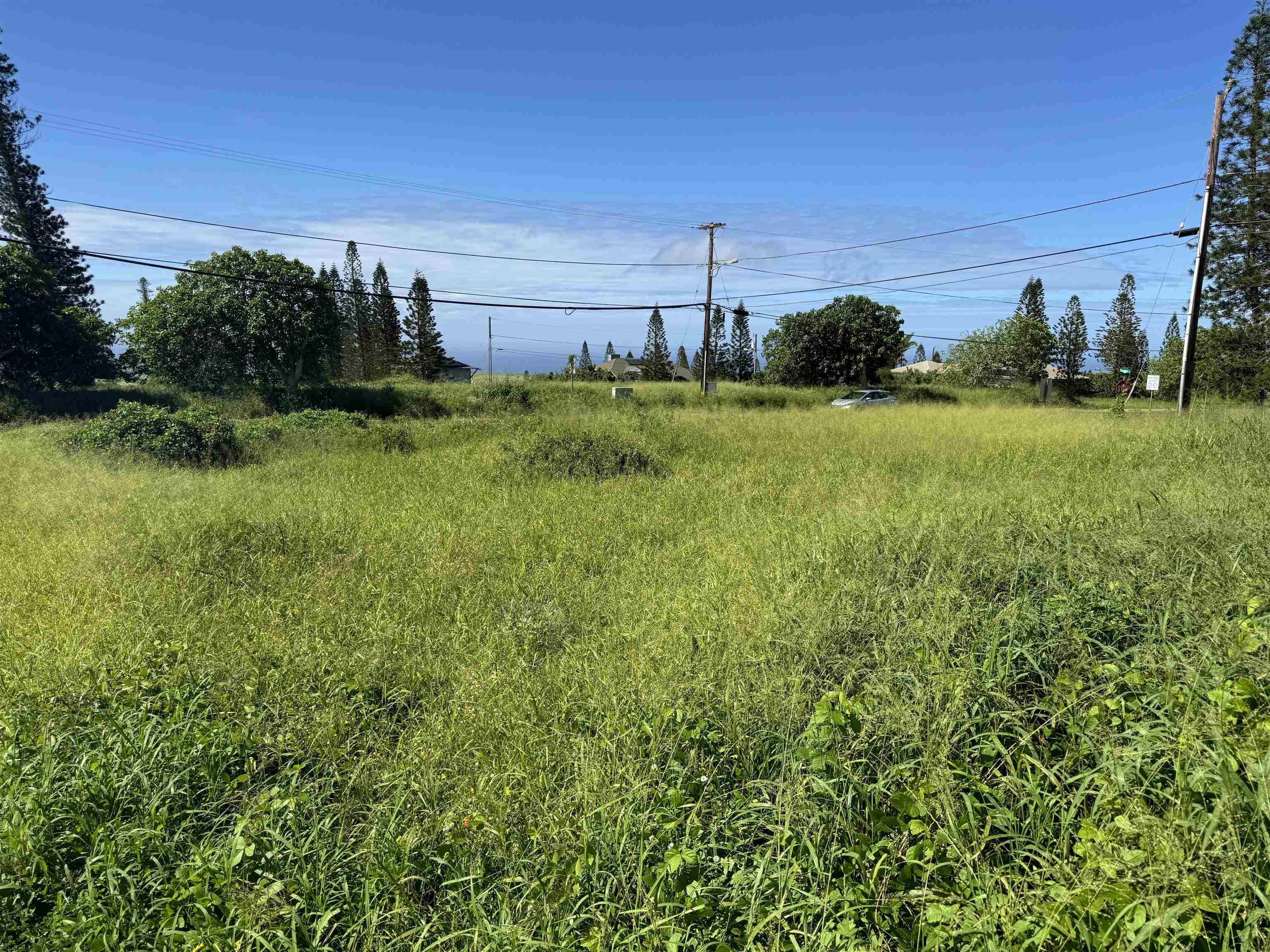 Pu'unana St 723 Maunaloa, Hi vacant land for sale - photo 5 of 9