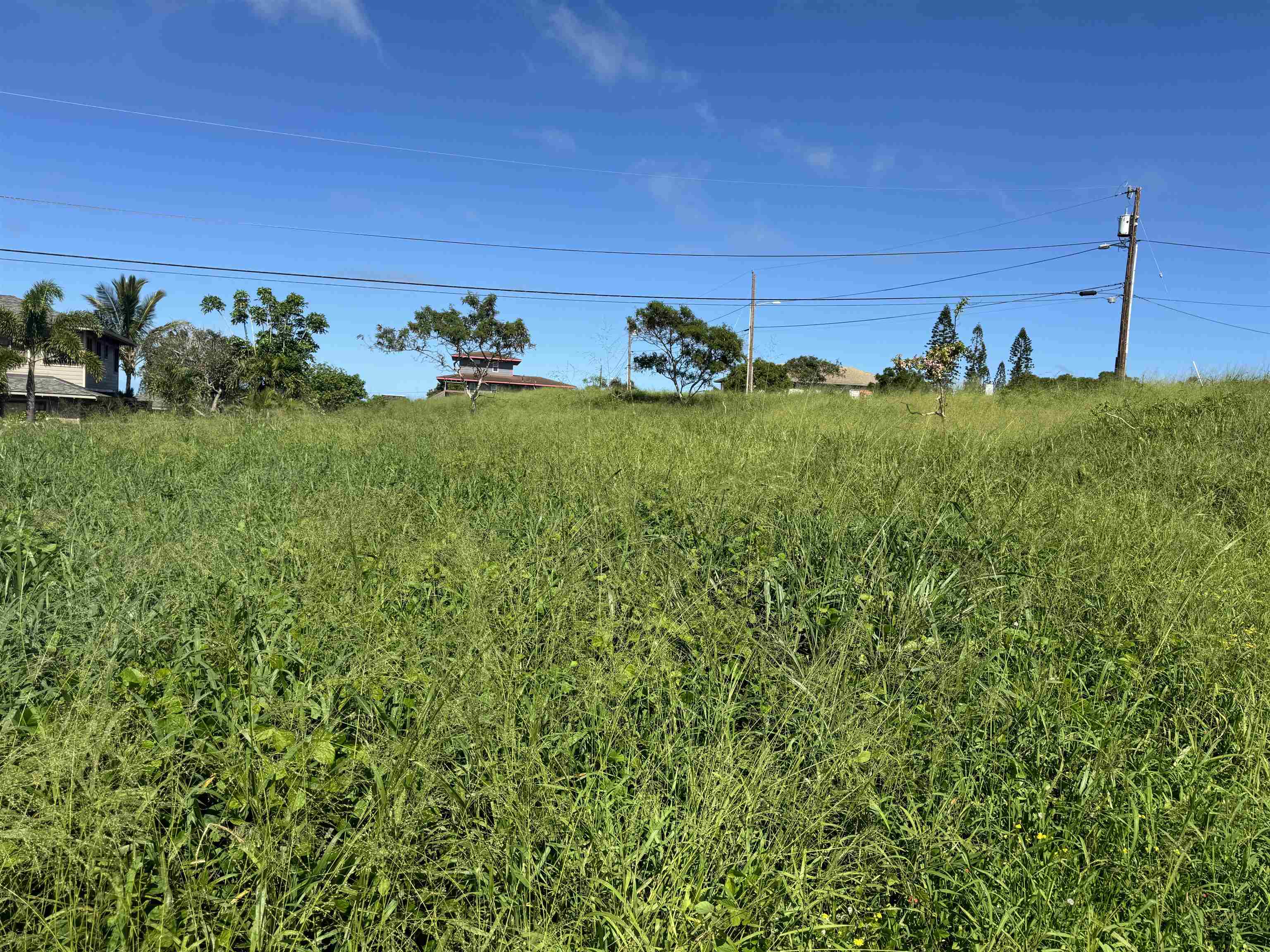 0 Pu'unana St 724 Maunaloa, Hi vacant land for sale - photo 8 of 9