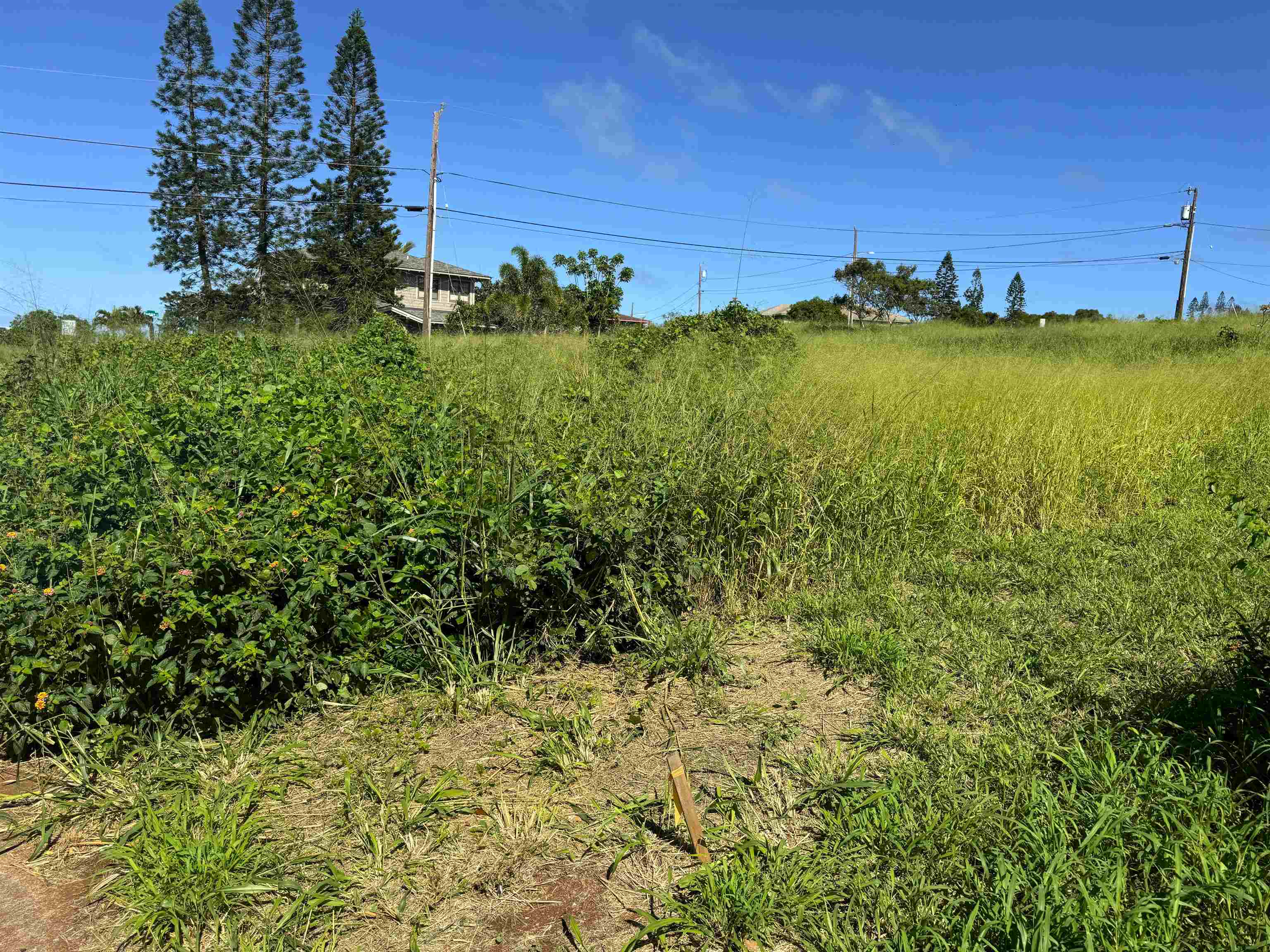 0 Pu'unana St 724 Maunaloa, Hi vacant land for sale - photo 9 of 9