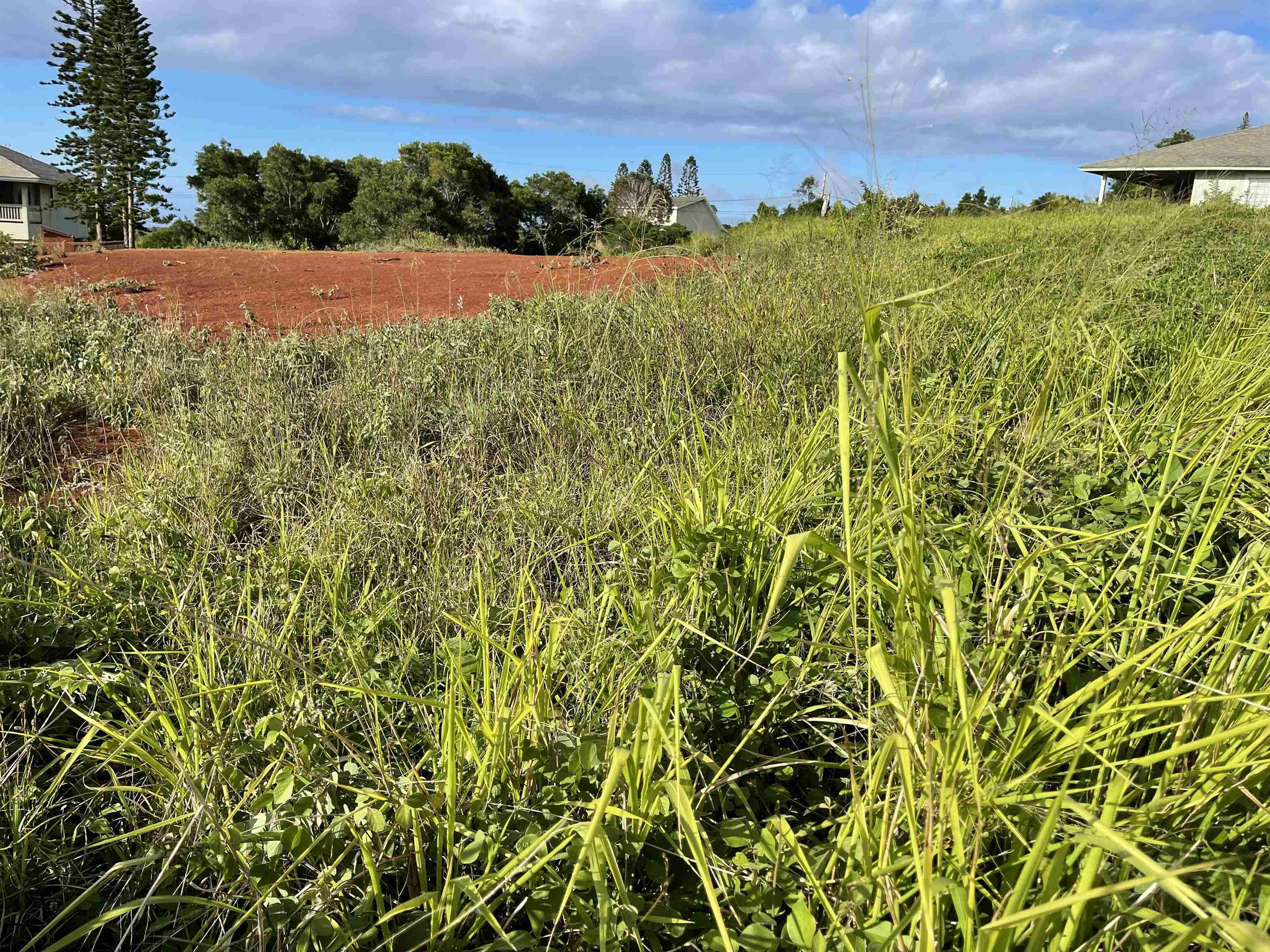 Puunana St D70 Maunaloa, Hi vacant land for sale - photo 4 of 10