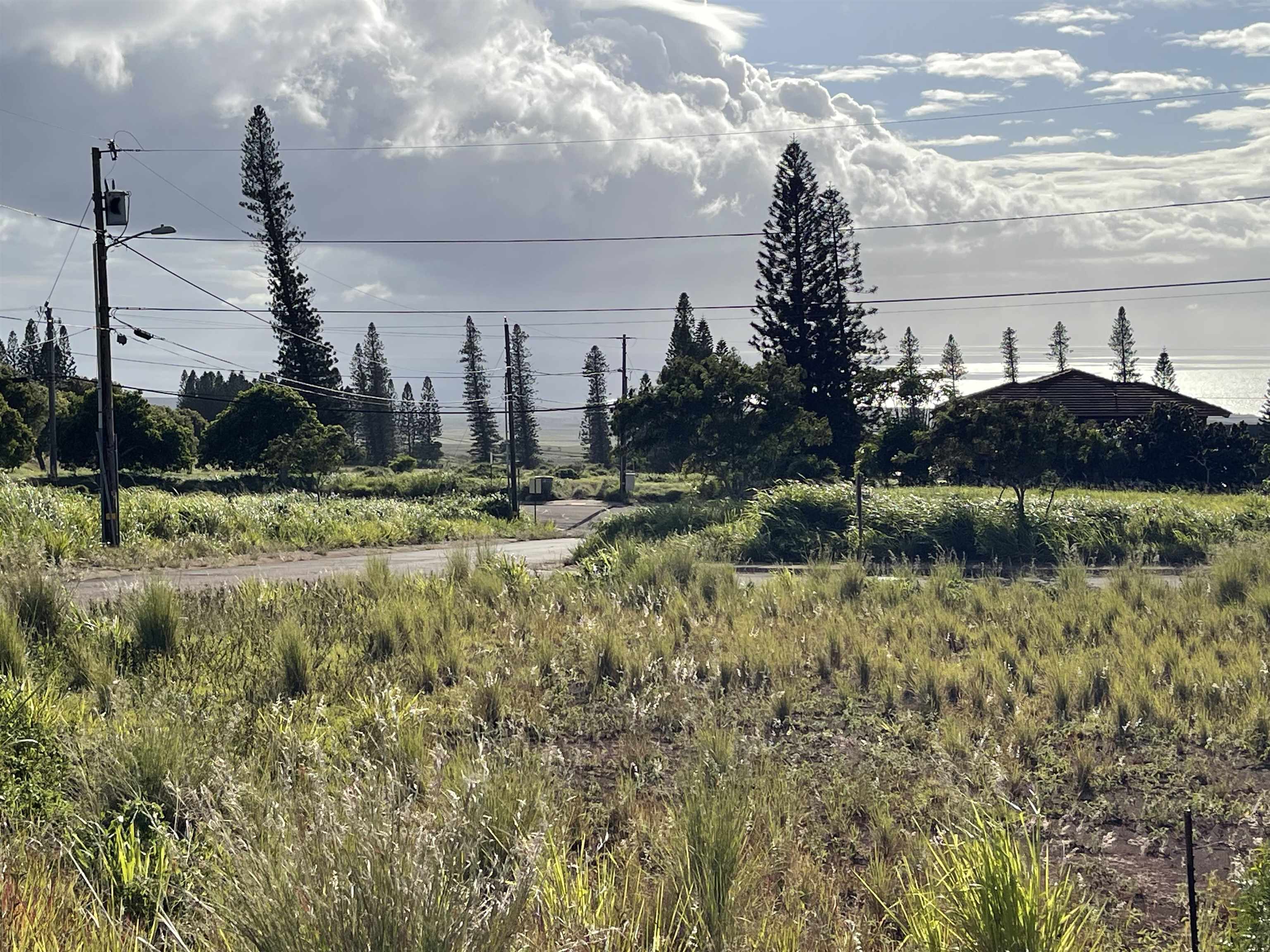 Puunana St D70 Maunaloa, Hi vacant land for sale - photo 8 of 10