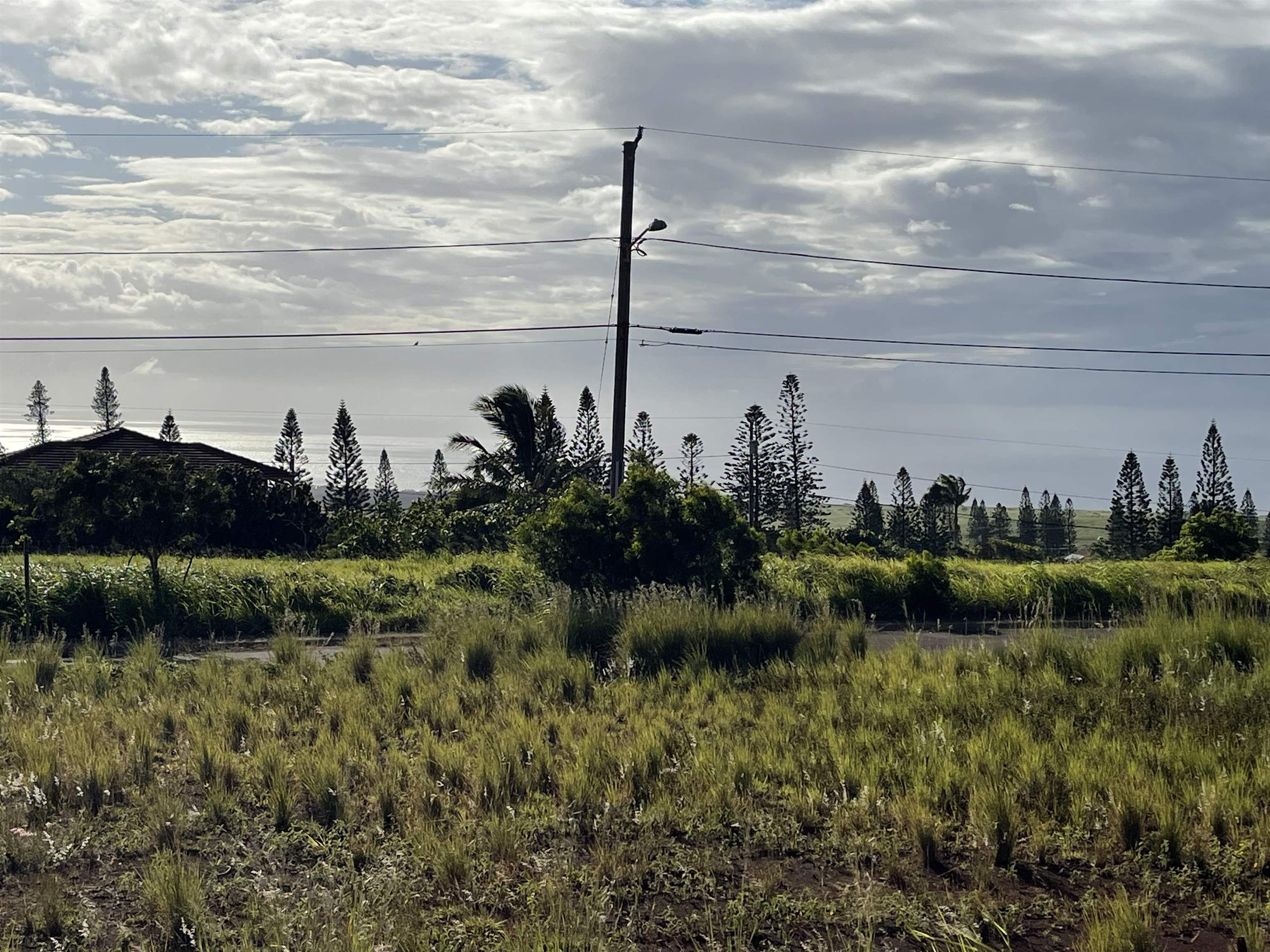 Puunana St D70 Maunaloa, Hi vacant land for sale - photo 9 of 10