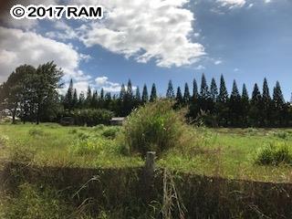 0 Puuomalei Rd  , Hi vacant land for sale - photo 3 of 6