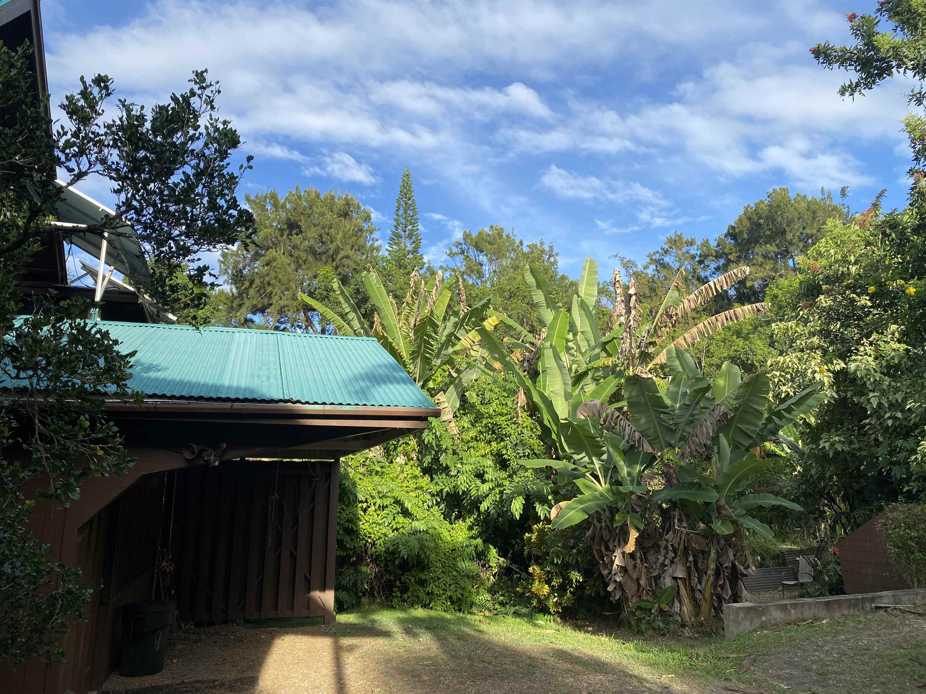 Rd Rd Ulalena Loop, Haiku home - photo 27 of 50