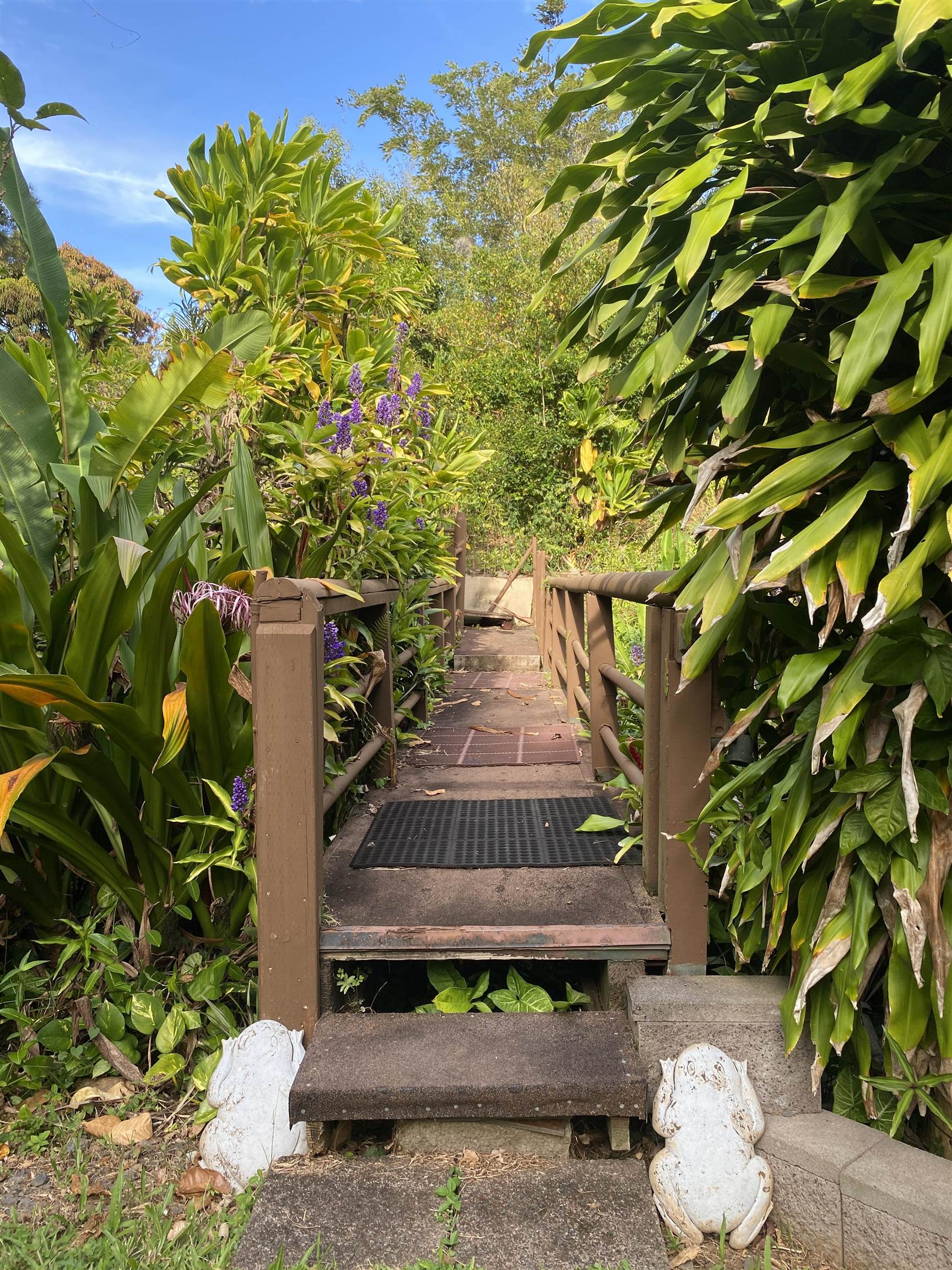 Rd Rd Ulalena Loop, Haiku home - photo 45 of 50