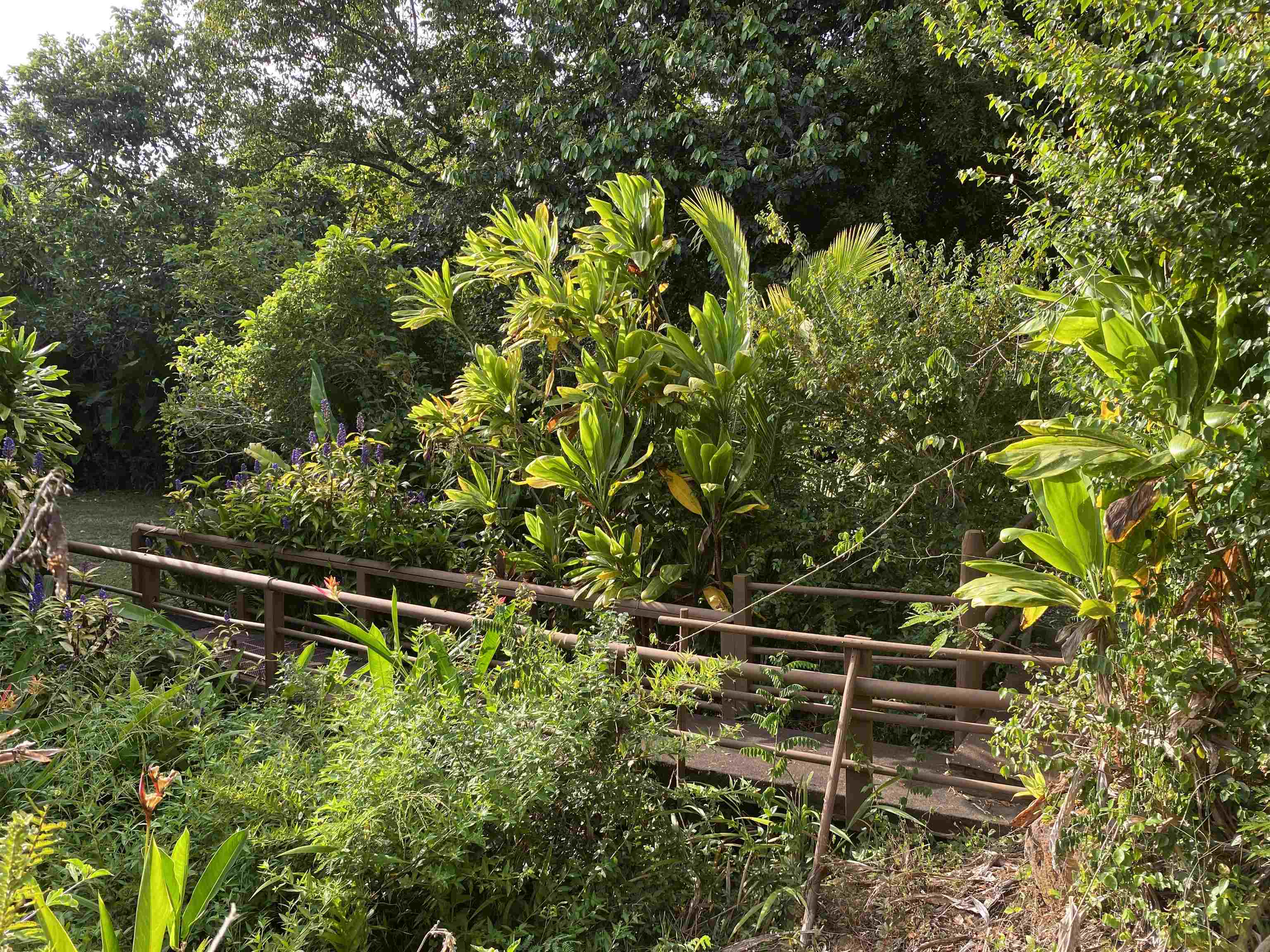 Rd Rd Ulalena Loop, Haiku home - photo 46 of 50