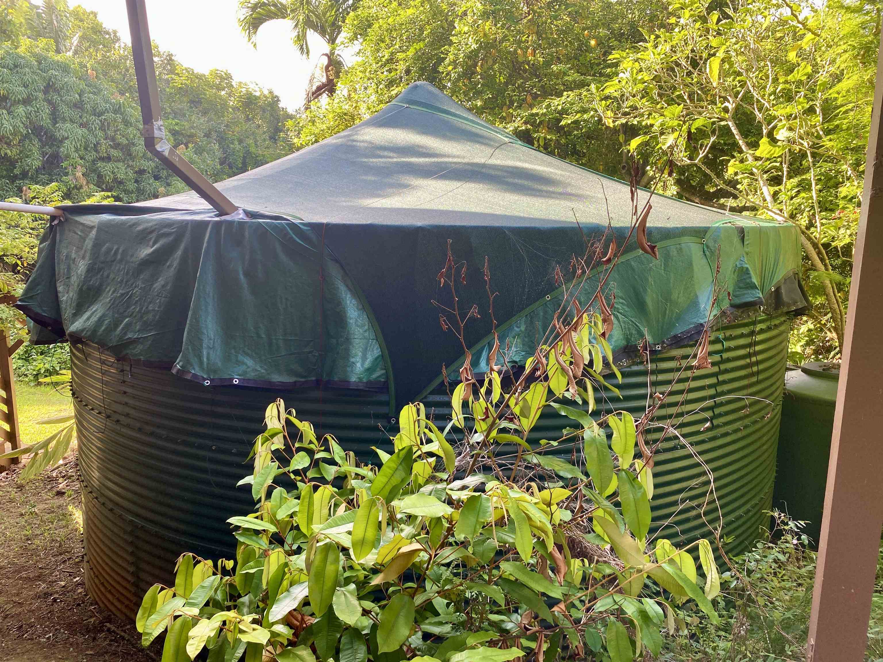 Rd Rd Ulalena Loop, Haiku home - photo 49 of 50