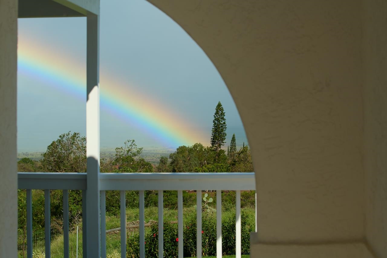 Rd , Kula/Ulupalakua/Kanaio home - photo 46 of 50