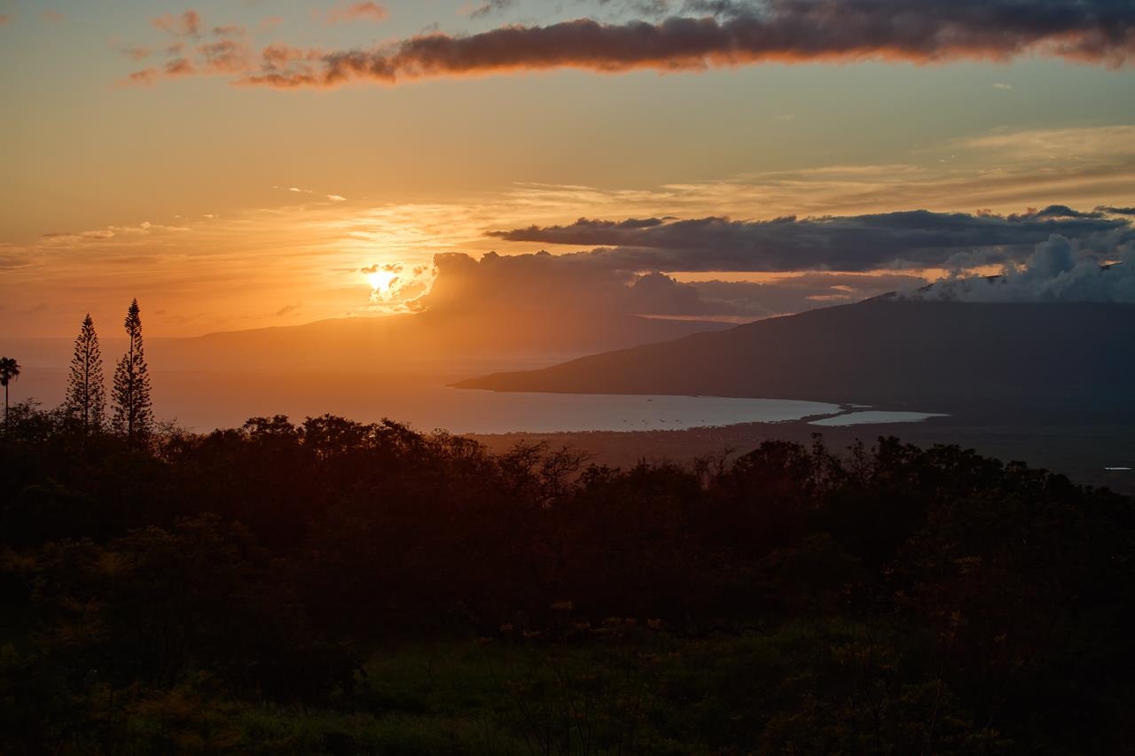 Rd , Kula/Ulupalakua/Kanaio home - photo 49 of 50