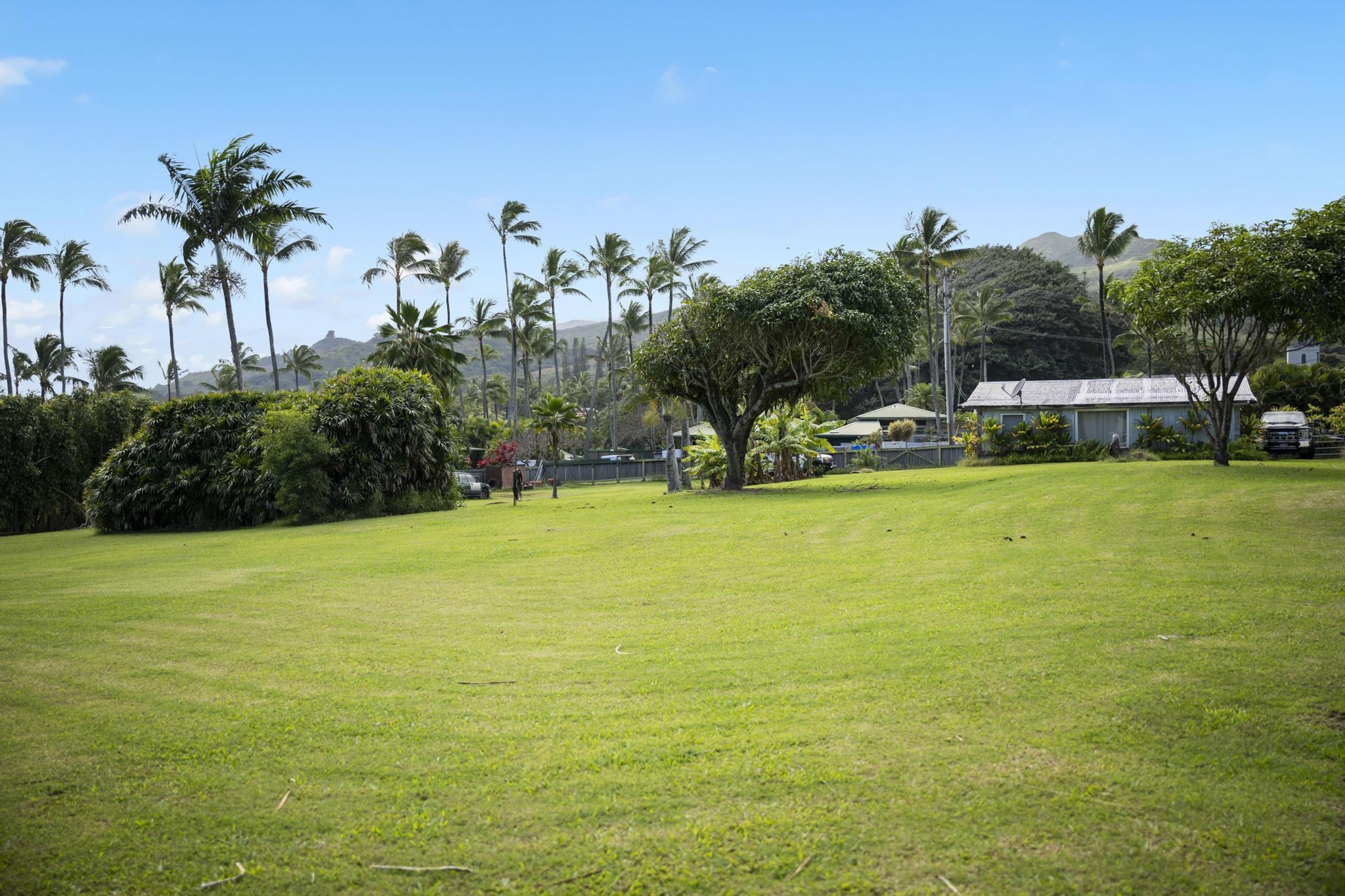 0  Uakea Rd 1462-1 Hana Ball Park, Hana home - photo 6 of 14