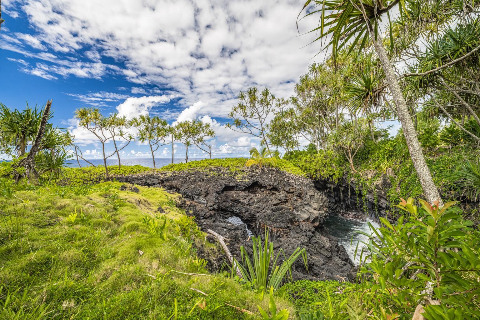 0  Ulaino Rd , Hana home - photo 35 of 46