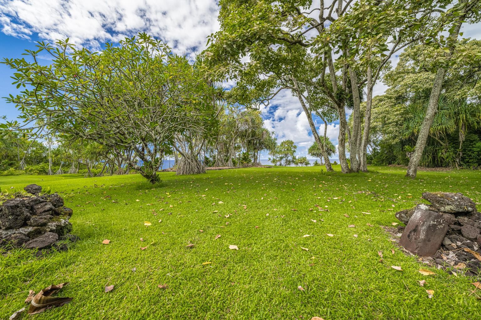 0  Ulaino Rd , Hana home - photo 36 of 46