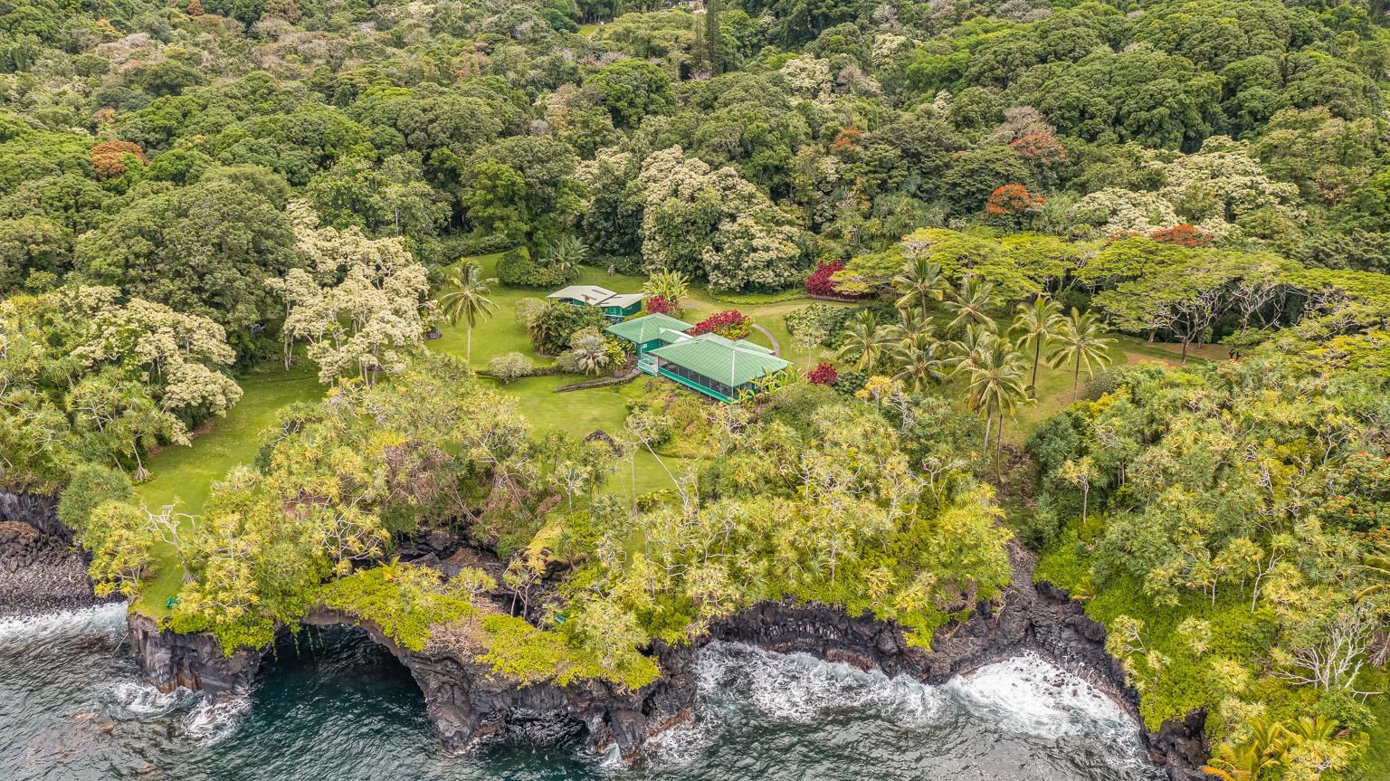 0  Ulaino Rd , Hana home - photo 41 of 46