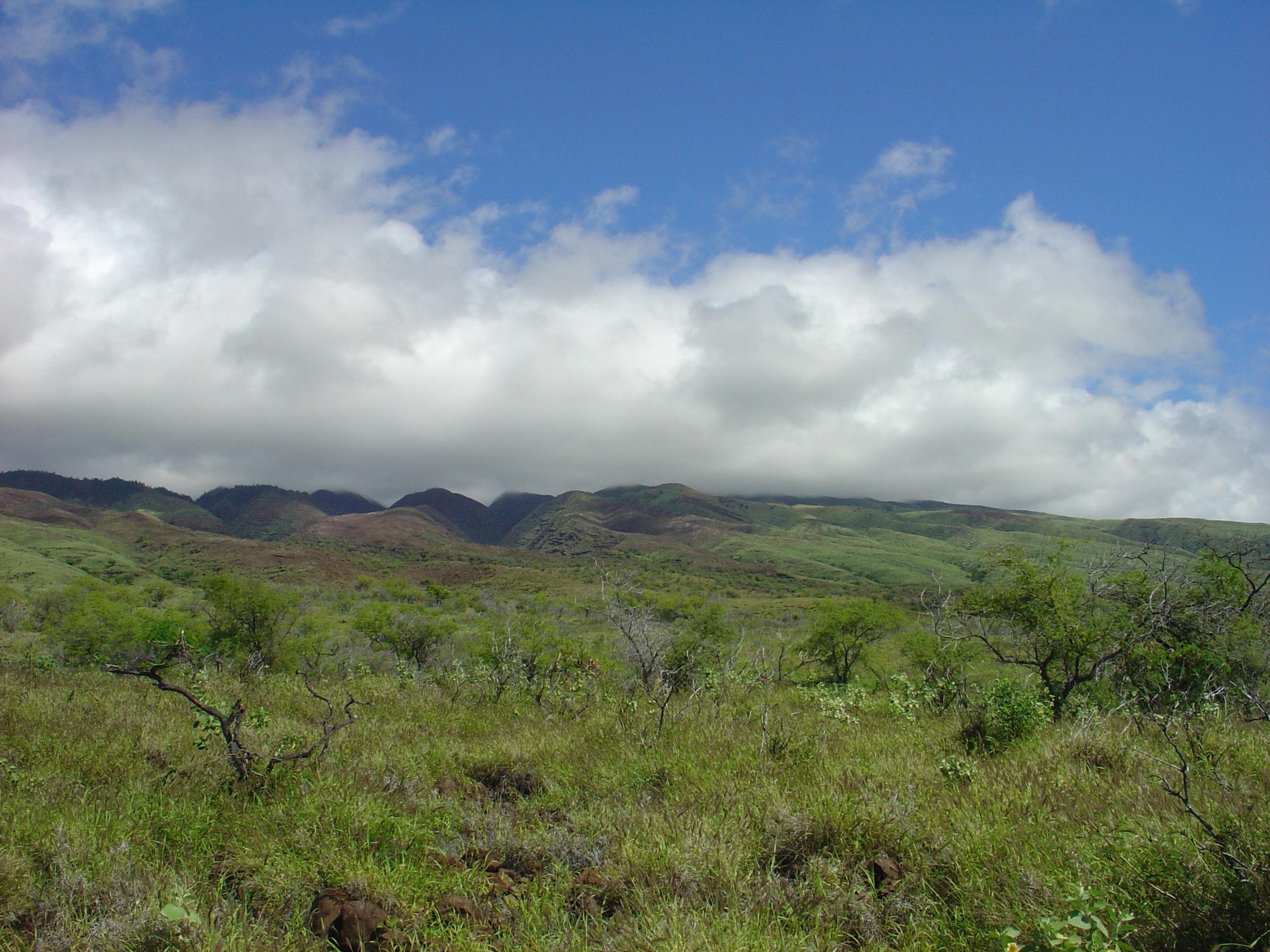 0 Ulua Rd 173 Kaunakakai, Hi vacant land for sale - photo 3 of 24