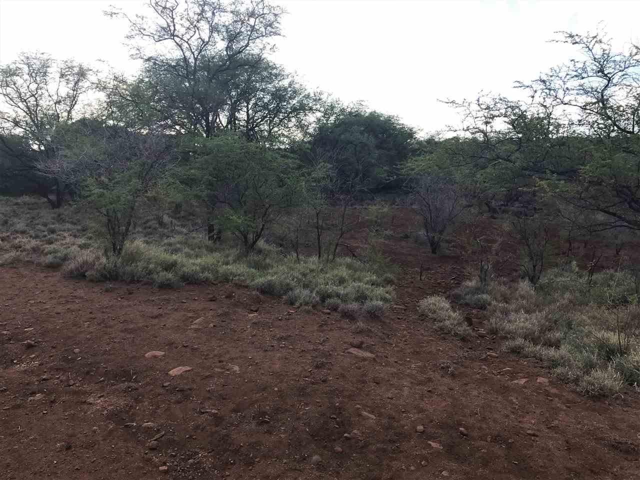 Ulua Rd  Kaunakakai, Hi vacant land for sale - photo 5 of 6