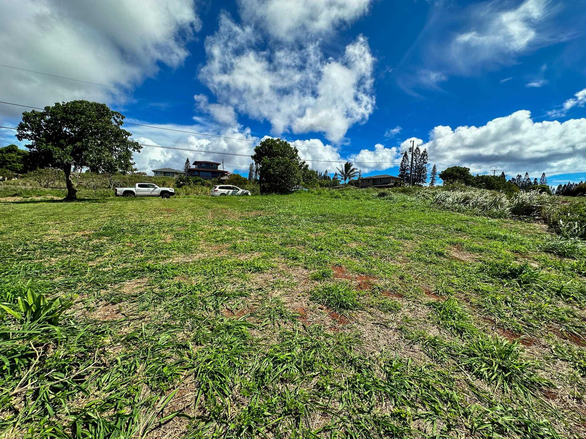 0 Waieli St  Maunaloa, Hi vacant land for sale - photo 4 of 5