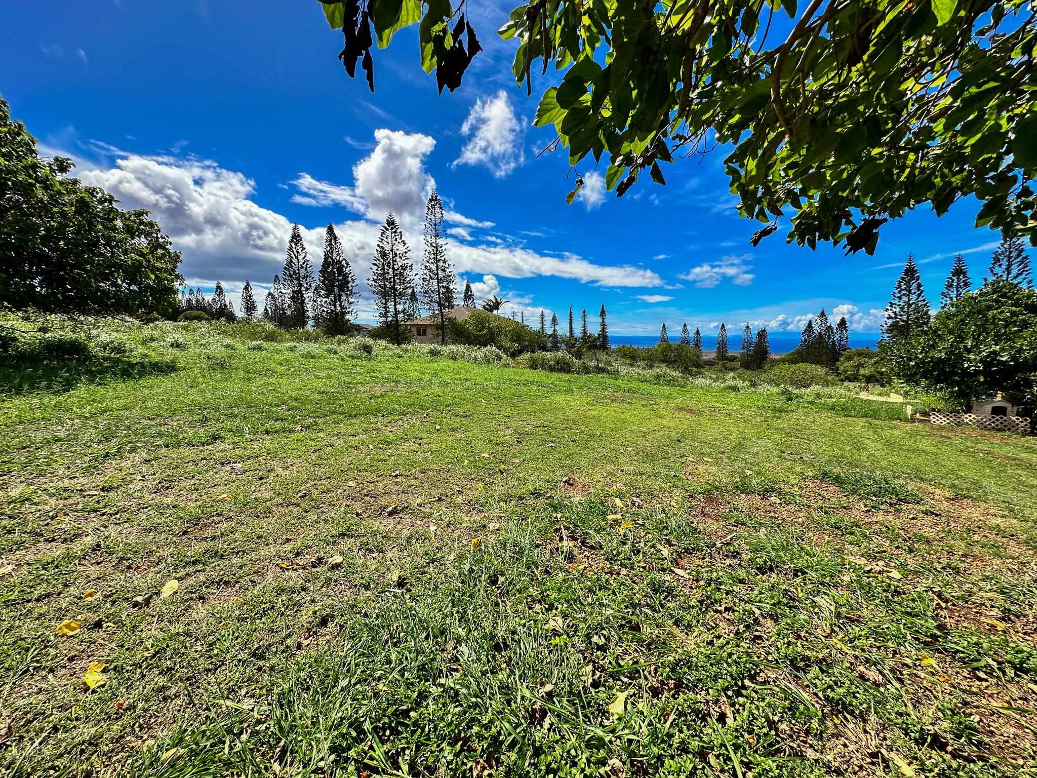 0 Waieli St  Maunaloa, Hi vacant land for sale - photo 5 of 5