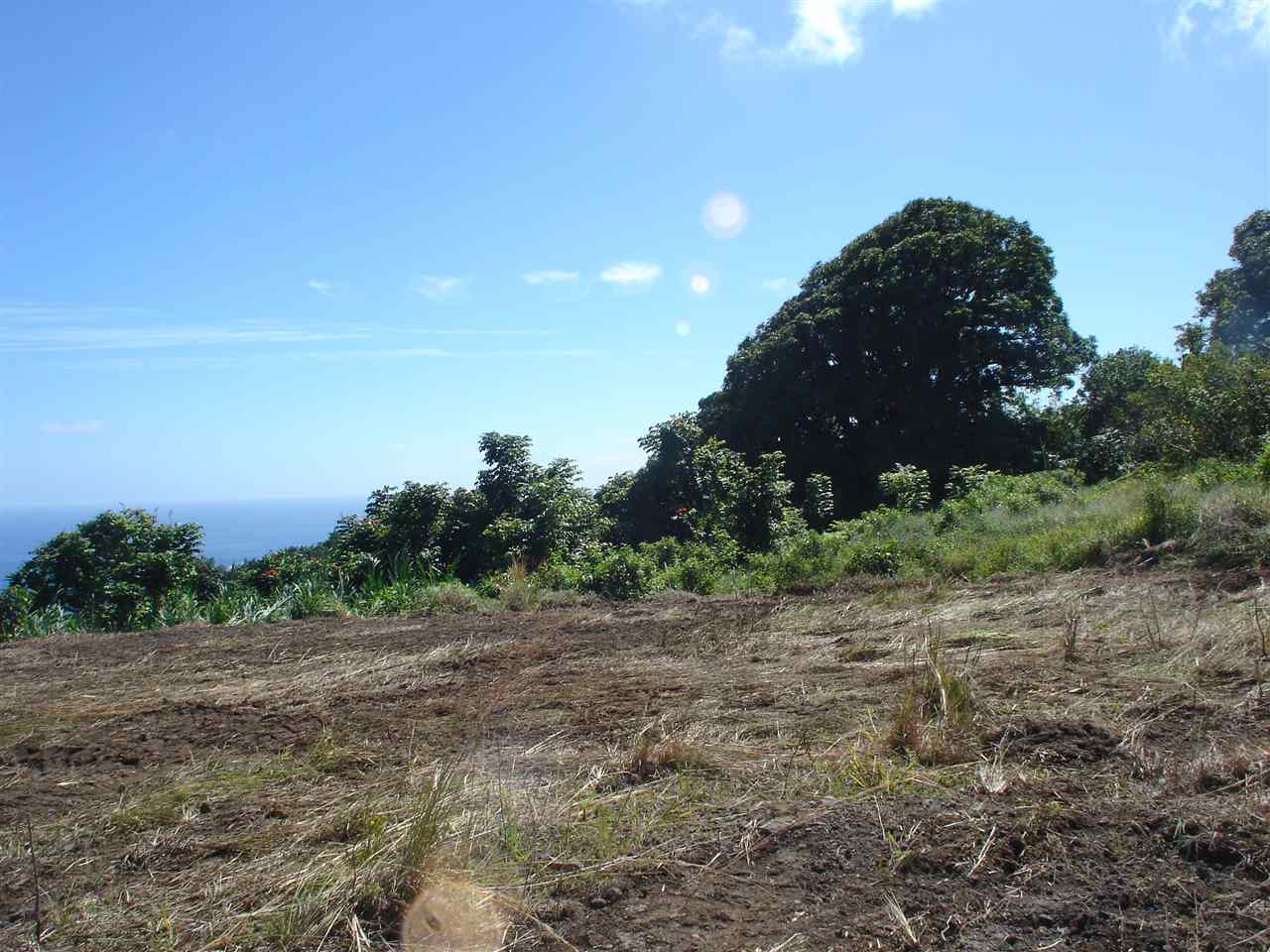 0 Waiohonu Rd 0 Waio Hana, Hi vacant land for sale - photo 16 of 23