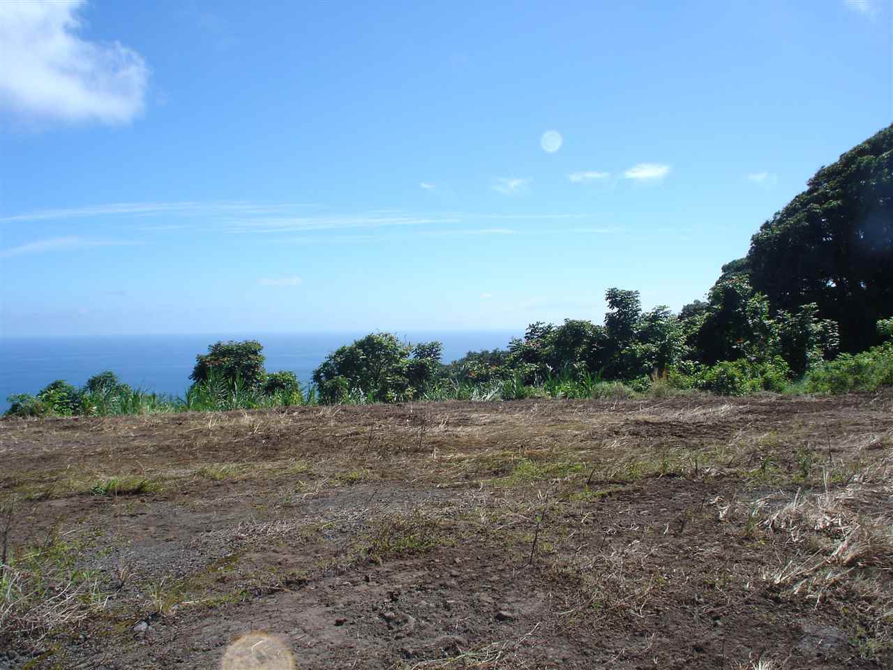 0 Waiohonu Rd 0 Waio Hana, Hi vacant land for sale - photo 19 of 23