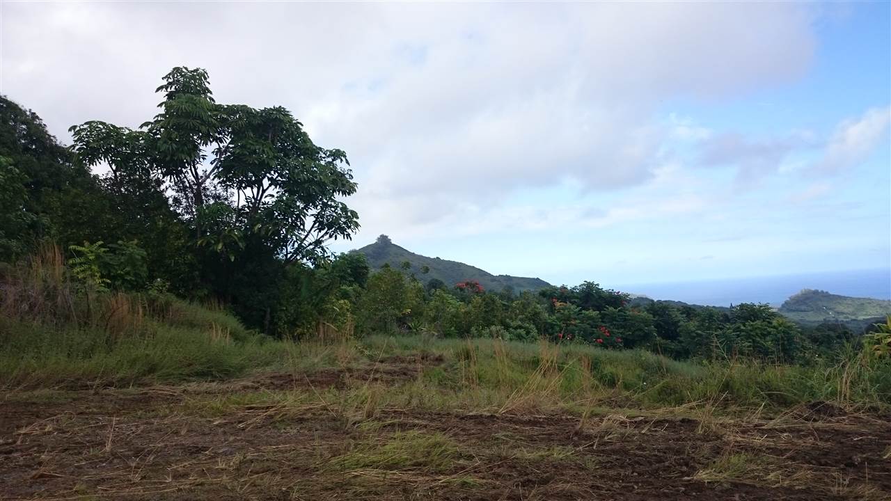 0 Waiohonu Rd 0 Waio Hana, Hi vacant land for sale - photo 8 of 23