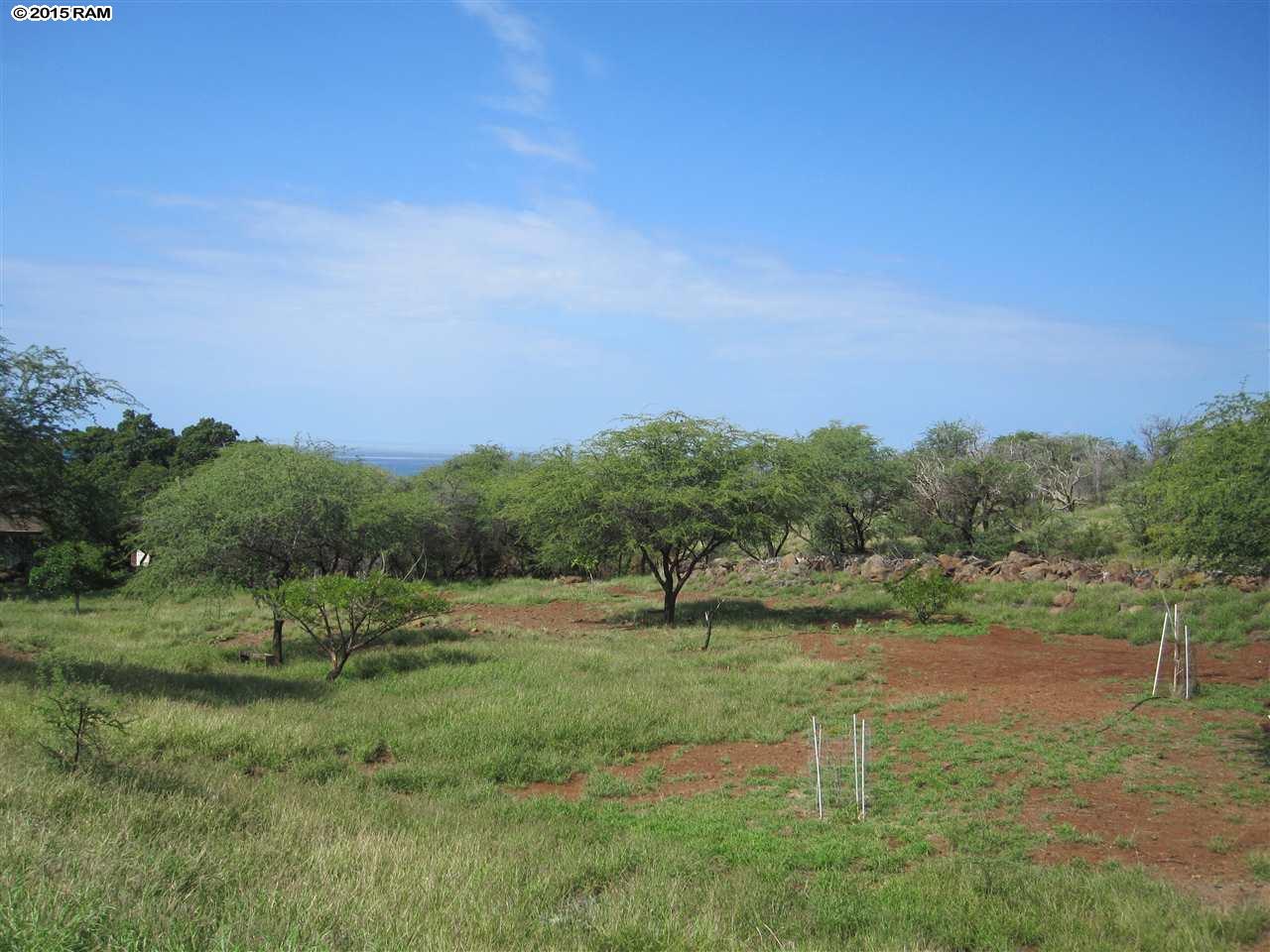 0 Waiokama Pl Lot 45 Kaunakakai, Hi vacant land for sale - photo 4 of 4