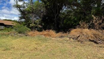 00 Kamehameha V Hwy Lot 2 KAUNAKAKAI, Hi vacant land for sale - photo 5 of 11