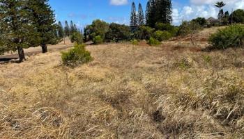 00 Puumalu St  Maunaloa, Hi vacant land for sale - photo 4 of 8