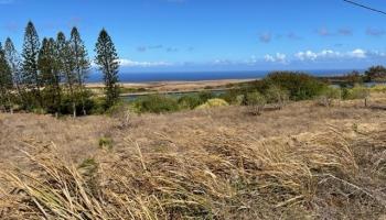 00 Puumalu St  Maunaloa, Hi vacant land for sale - photo 6 of 8