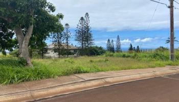 00 Waieli St Lot 727 Maunaloa, Hi vacant land for sale - photo 1 of 11