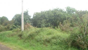 000 Ehu Iki Pl  Makawao, Hi vacant land for sale - photo 4 of 6