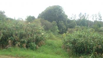 000 Ehu Iki Pl  Makawao, Hi vacant land for sale - photo 6 of 6