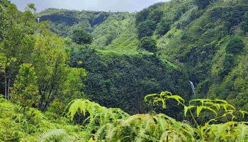 000 Hana Hwy  Hana, Hi vacant land for sale - photo 1 of 13