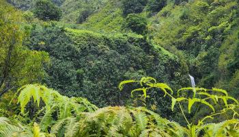 000 Hana Hwy  Hana, Hi vacant land for sale - photo 2 of 13