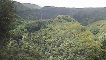 000 Hana Hwy  Hana, Hi vacant land for sale - photo 3 of 13