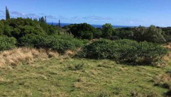 000 Kulike Rd  , Hi vacant land for sale - photo 3 of 7
