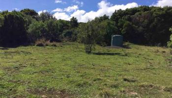 000 Kulike Rd , Hi vacant land for sale - photo 4 of 7 000 Kulike Rd , Hi vacant land for sale - photo 4 of 7