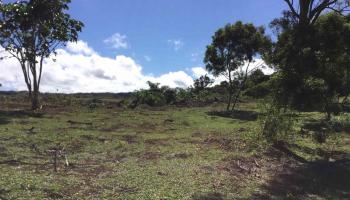 000 Kulike Rd , Hi vacant land for sale - photo 5 of 7 000 Kulike Rd , Hi vacant land for sale - photo 5 of 7
