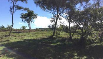 000 Kulike Rd , Hi vacant land for sale - photo 6 of 7