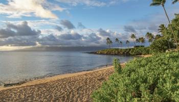 Montage Residences Kapalua  condo # 4304, Lahaina, Hawaii - photo 5 of 47