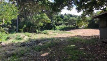 1 Honokohau Valley Rd  Lahaina, Hi vacant land for sale - photo 2 of 17