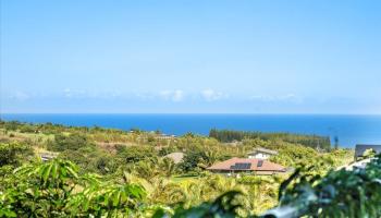 10  Leleaka Pl Holokai Area, Haiku home - photo 6 of 50