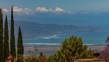 10  Lopaka Pl , Kula/Ulupalakua/Kanaio home - photo 2 of 50