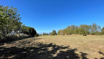 10 Mohala Pl Unit A Pukalani, Hi vacant land for sale - photo 3 of 3