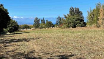 10 Mohala Pl Unit B Pukalani, Hi vacant land for sale - photo 1 of 4