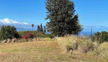 10 Mohala Pl Unit B Pukalani, Hi vacant land for sale - photo 4 of 4